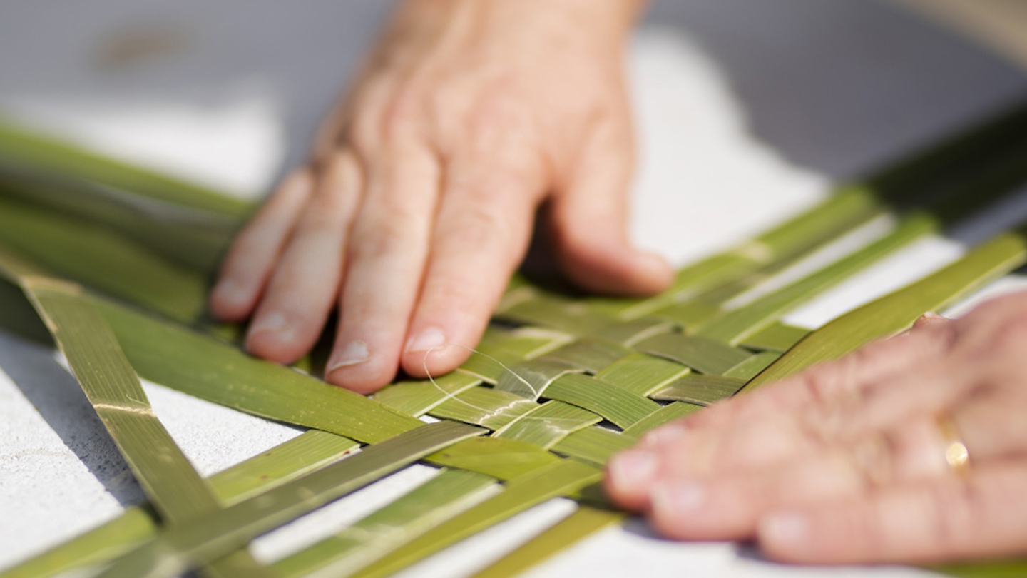 NZIST appoints six Deputy Chief Executives