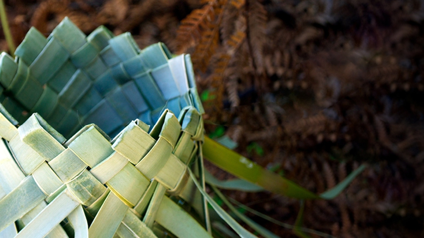 Learners at forefront of Te Pūkenga partnership