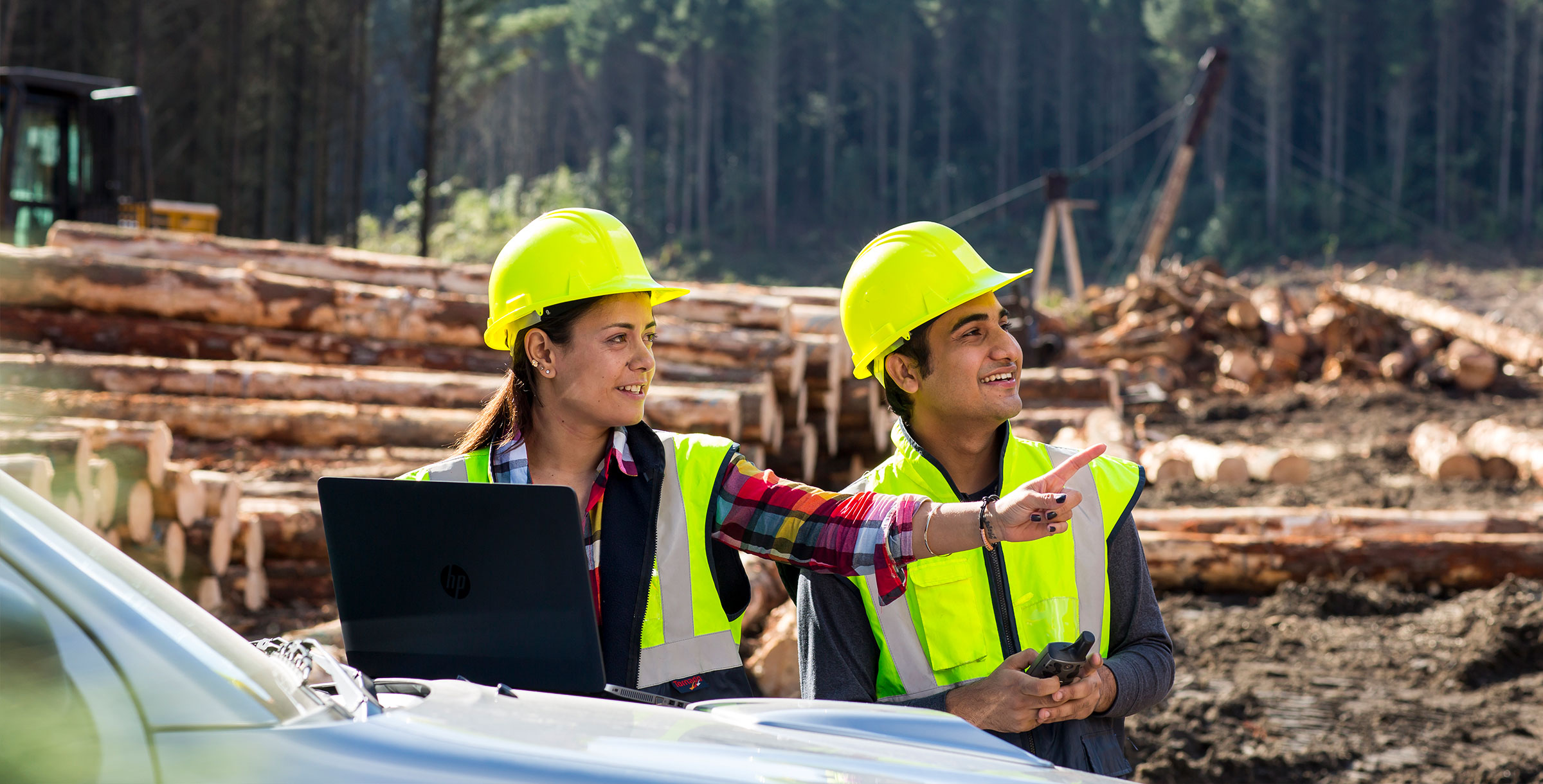 A woman and man in a forestry block leaning against a truck pointing to the trees