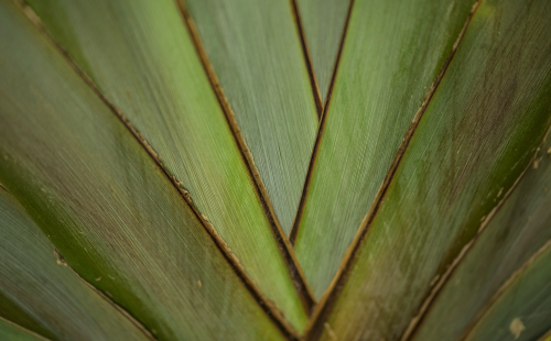 Meet our Chief Executive