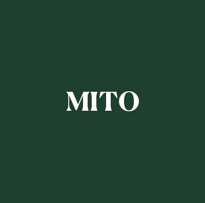 MITO launch three extractive industry micro-credentials