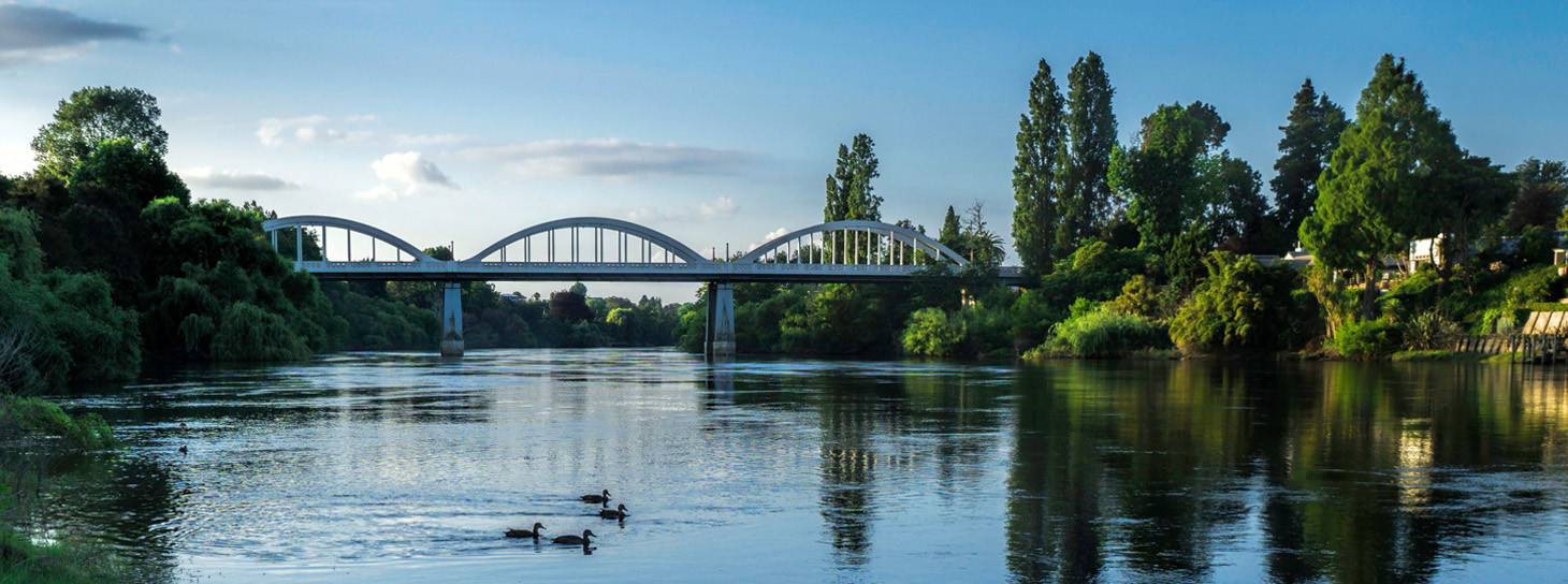 Hamilton NZ Fairfield Bridge and ducks on the water